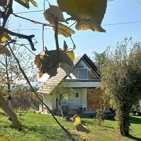 Tatil Evi Vikendica Zivkovic Lazarevac