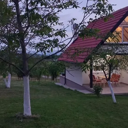 Tatil Evi Vikendica Zivkovic *