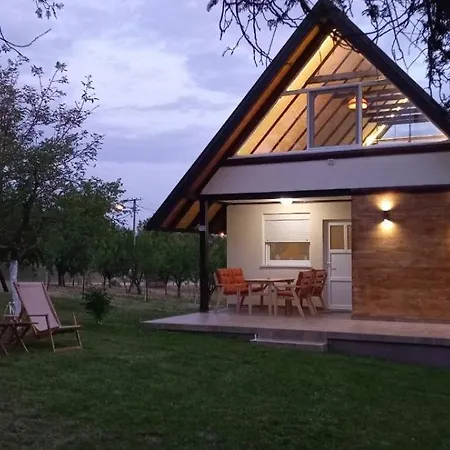 Tatil Evi Vikendica Zivkovic *