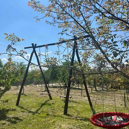 Vikendica Zivkovic Tatil Evi