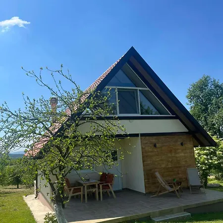 Tatil Evi Vikendica Zivkovic *